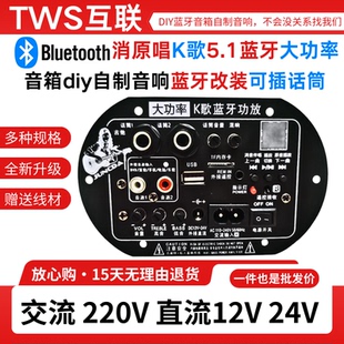 一键消原唱 双话筒k歌大功率蓝牙功放板12V24V220V低音炮功放板