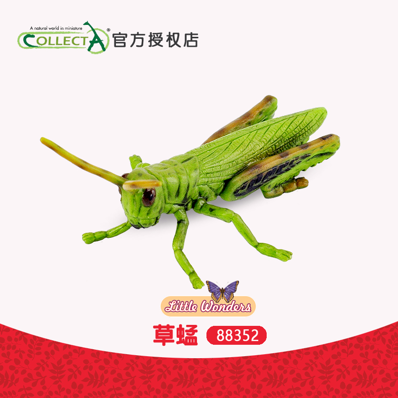 英国我你他仿真昆虫科普认知动物