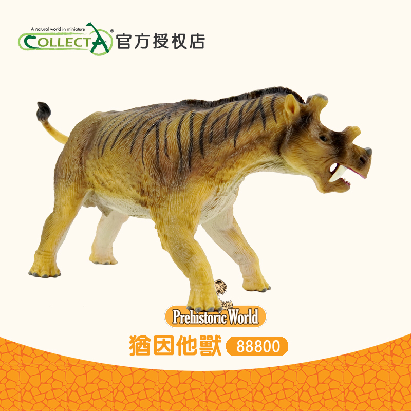 正品英国Collecta我你他 犹因他兽 仿真史前动物玩具模型88800