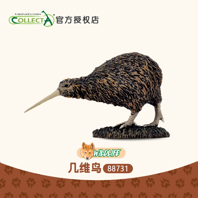 科普 英国我你他Collecta鹬鸵 几维鸟 动物模型儿童玩具摆件88731