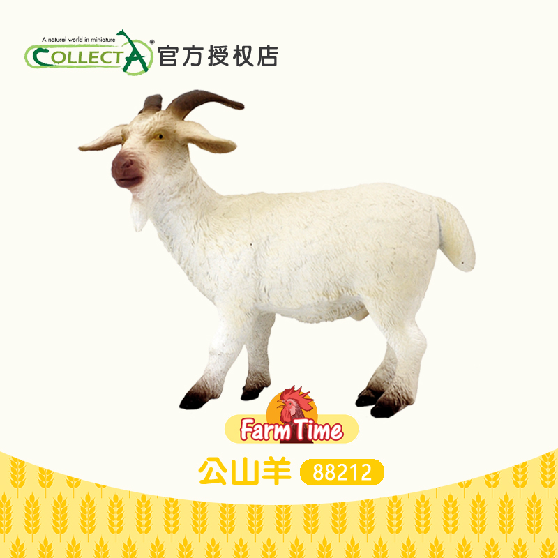 正品英国CollectA我你他 公山羊 仿真农场家畜动物玩具模型88212