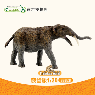 正品英国Collecta我你他 嵌齿象1:20仿真史前动物玩具模型88828