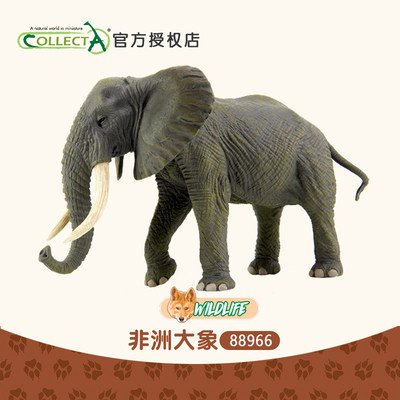 CollectA非洲大象仿真动物玩具
