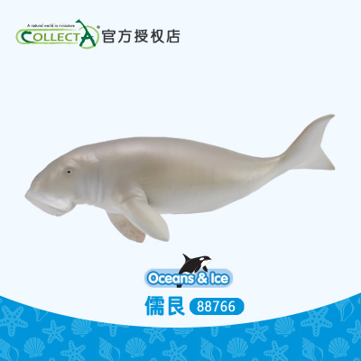 正品英国collecta我你他 儒艮 海洋动物模型儿童玩具认知88766