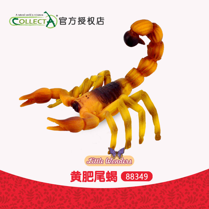 科普认知 正品英国我你他CollectA黄肥尾蝎子 动物模型玩具88349