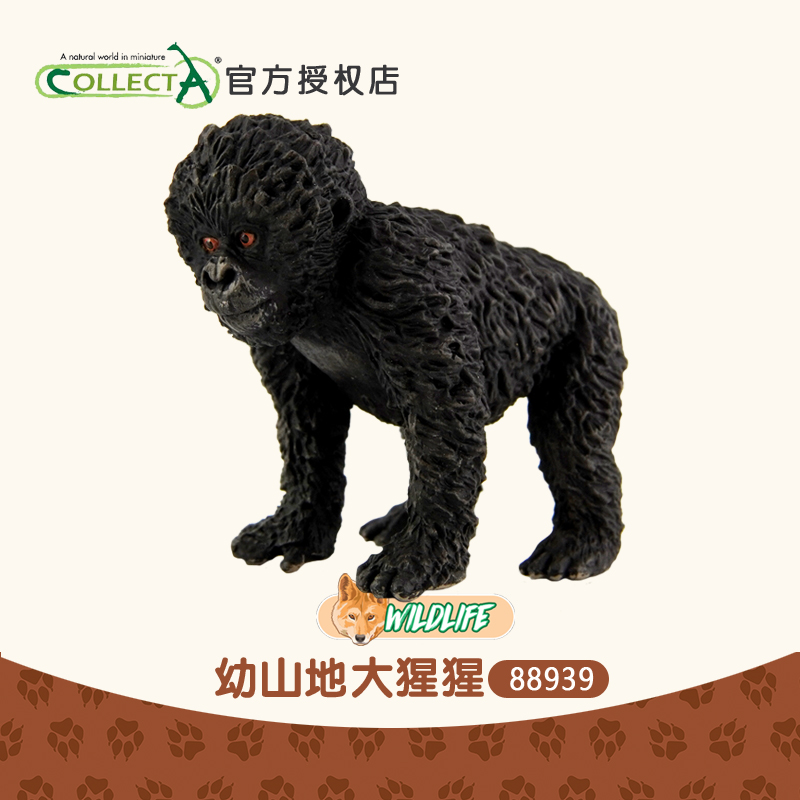 正品英国CollectA我你他 幼山地大猩猩非洲动物模型玩具摆件88939