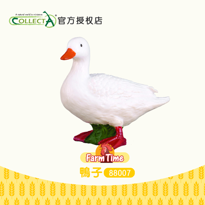 CollectA鸭子仿真动物模型玩具
