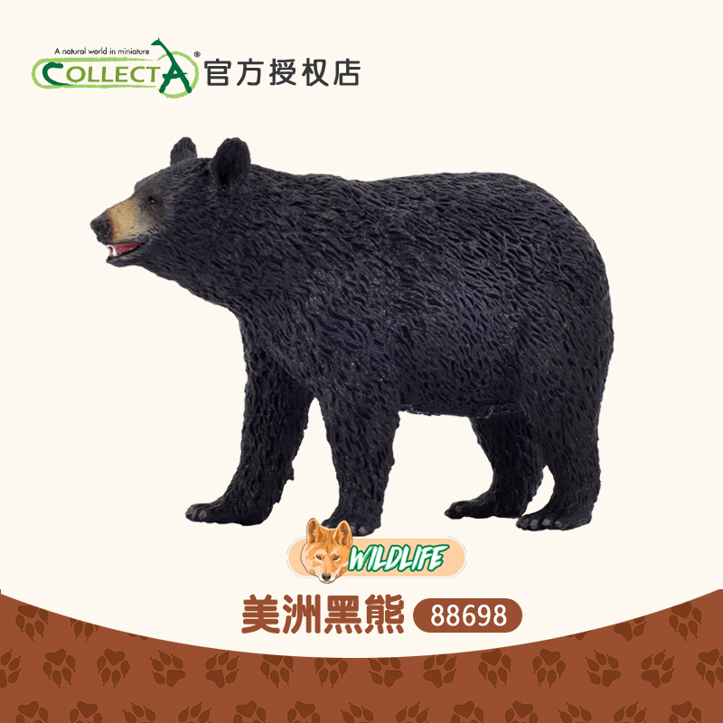 正品英国我你他Collecta美洲黑熊 仿真动物模型玩具摆件认知88698