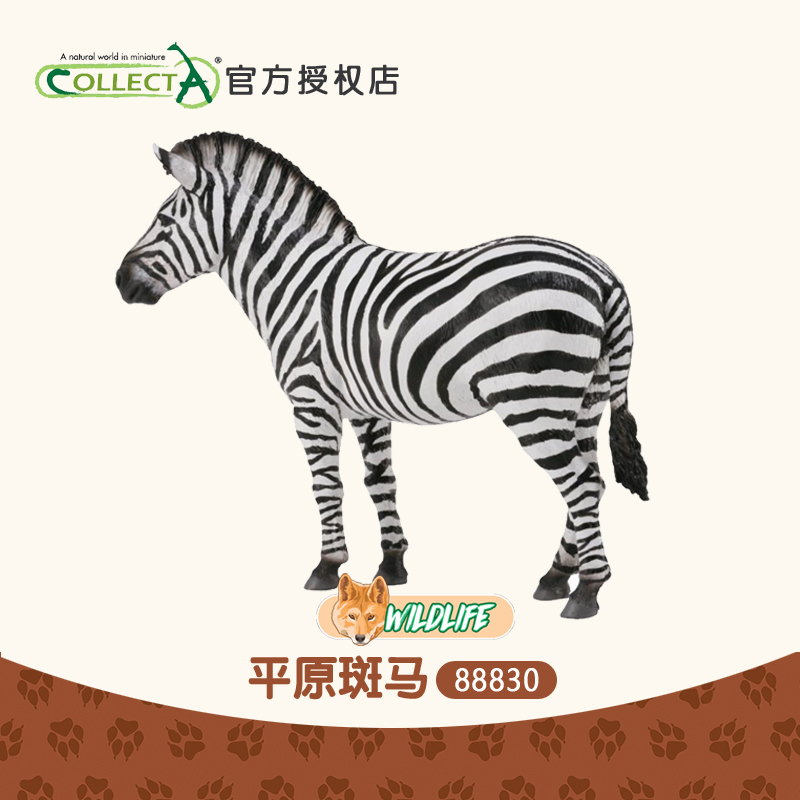 Collecta斑马模型儿童玩具