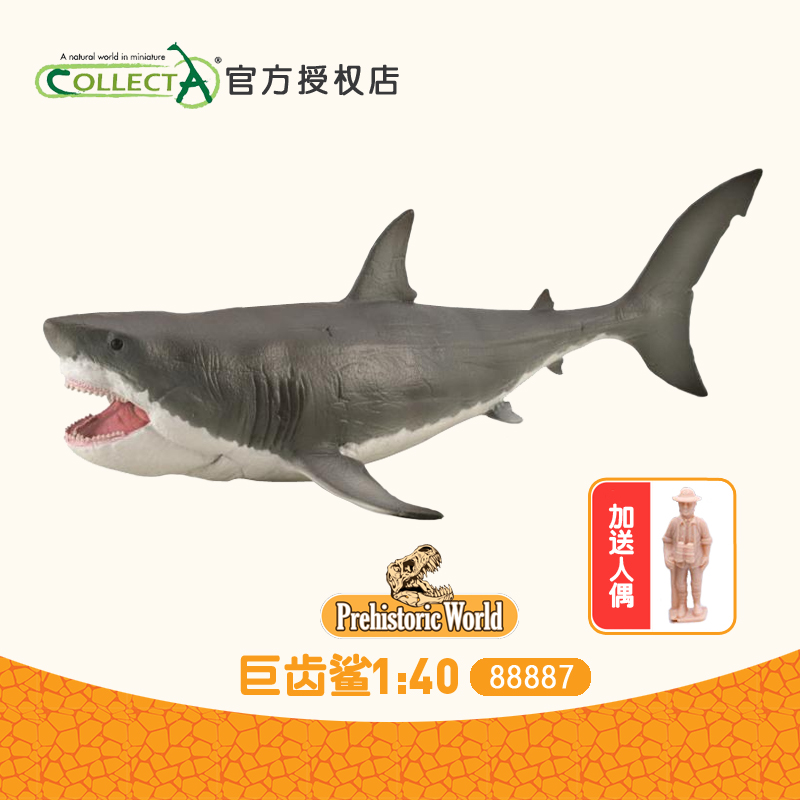 英国CollectA鲨鱼高品质玩具