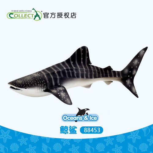 正品英国我你他 鲸鲨鱼仿真海洋动物玩具儿童认知模型收藏88453
