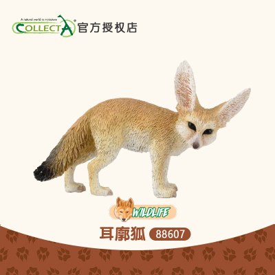 正品英国CollectA我你他 耳廓狐仿真犬科狐狸动物模型玩具88607