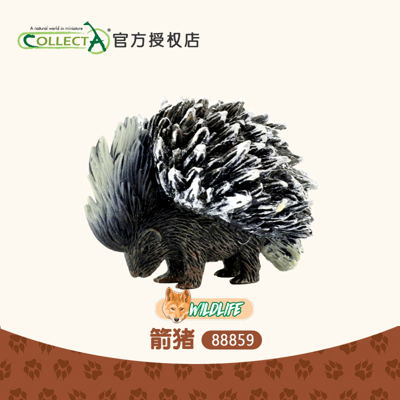正品英国CollectA我你他 箭猪 仿真动物玩具儿童认知模型88859
