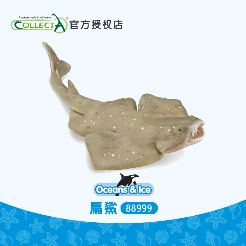 我你他扁鲨海洋动物仿真模型