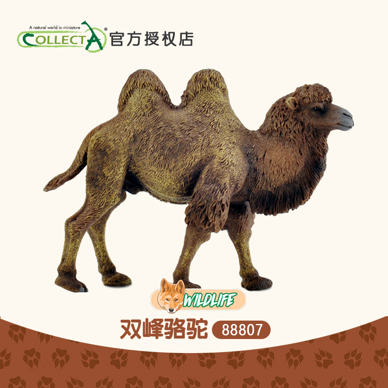 Collecta双峰骆驼模型