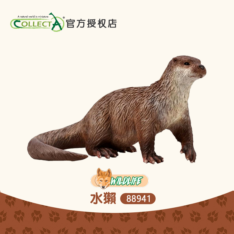 正品英国CollectA我你他 水獭仿真野生动物模型儿童玩具摆件88941