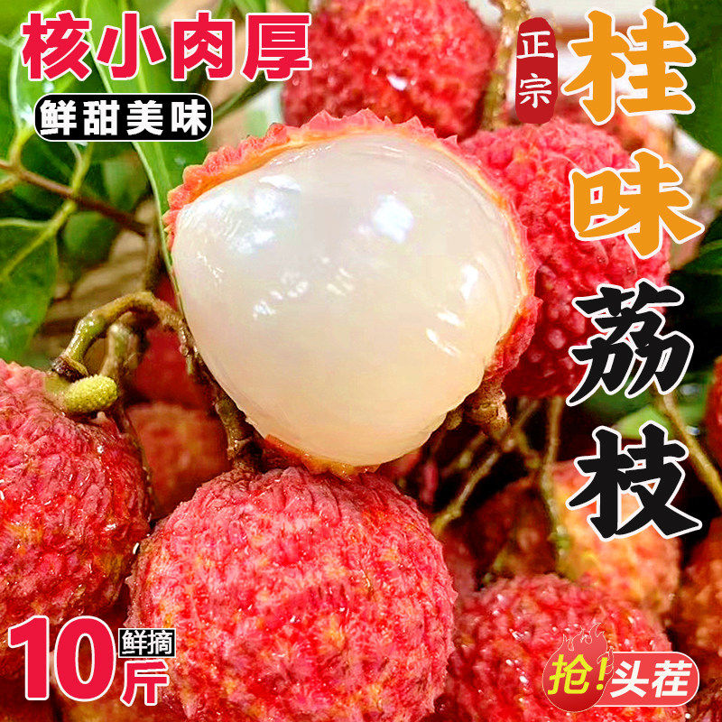 桂味荔枝新鲜现摘现发广东增城仙村基岗当季送礼水果鲜荔枝大果