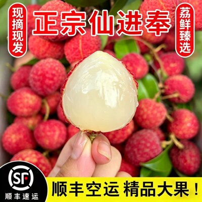 正宗增城仙进奉荔枝新鲜5斤大果