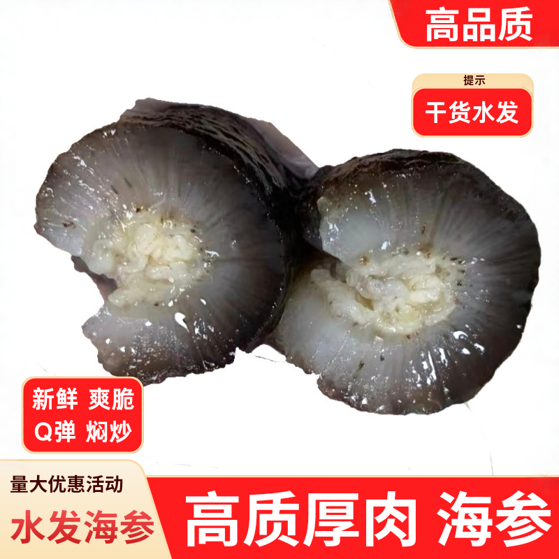 土耳其海参米刺小海参干货水发土耳野生淡干即食酒店楼会所私房菜