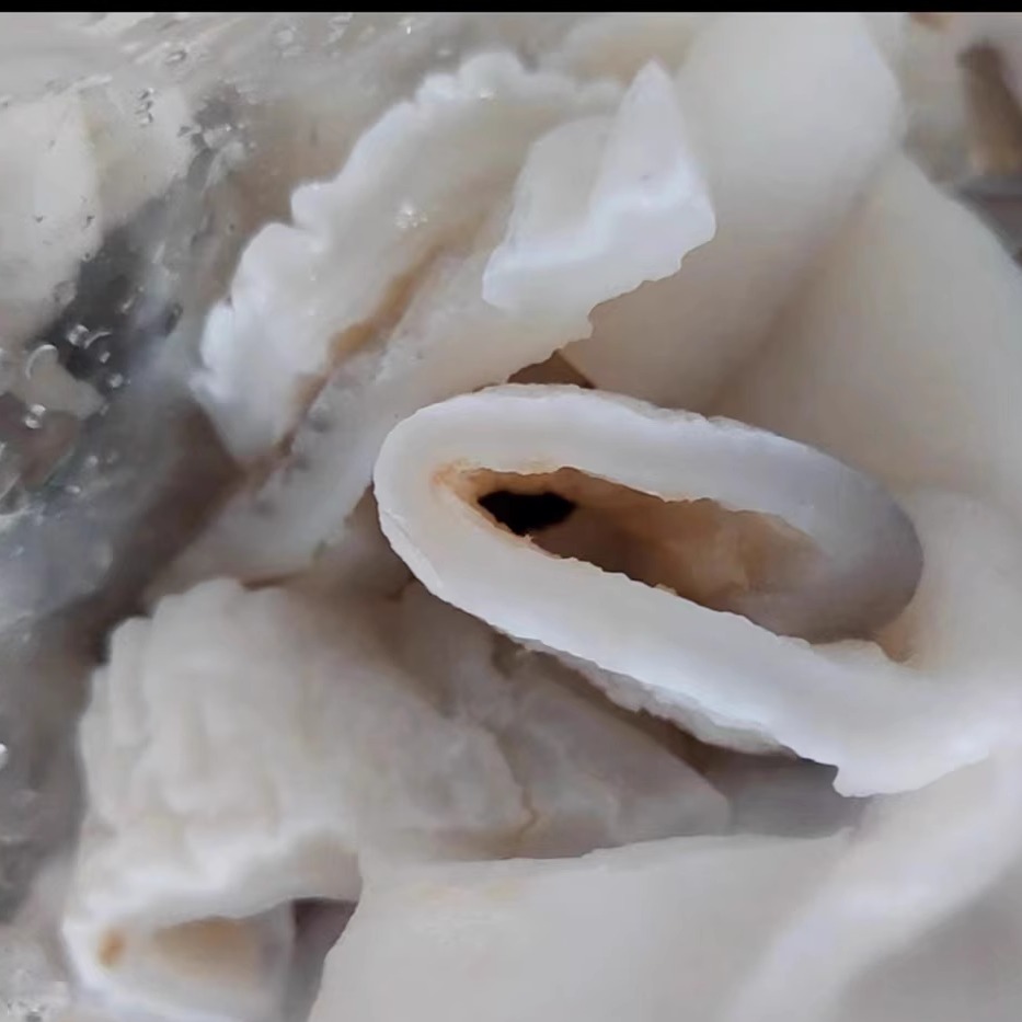佛跳墙食材海鲜水产沙鱼500g红烧