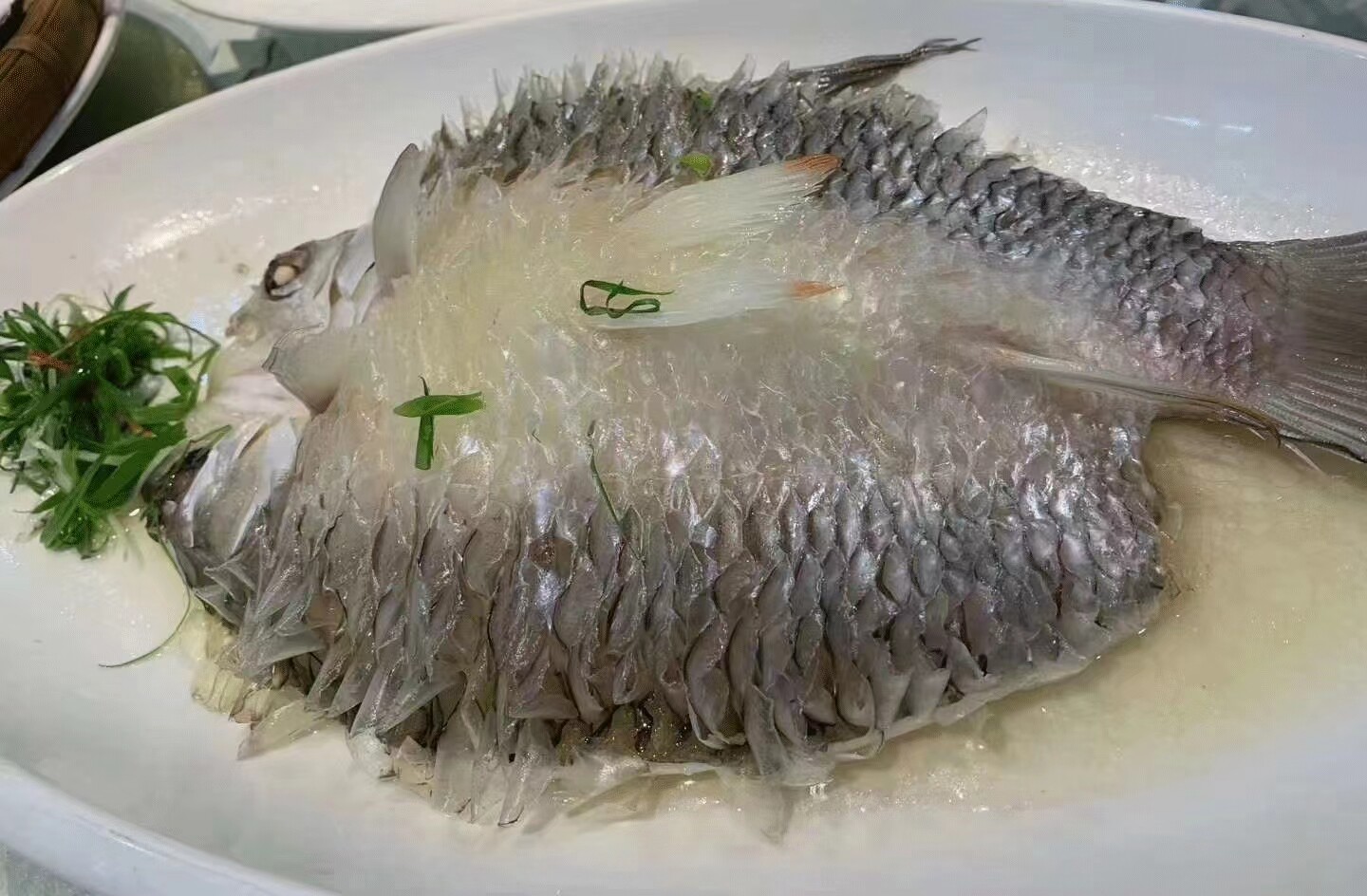 马来西亚忘不了鱼开背冷冻皇帝鱼腌制淡水苏丹鱼大鱼3条多省包邮