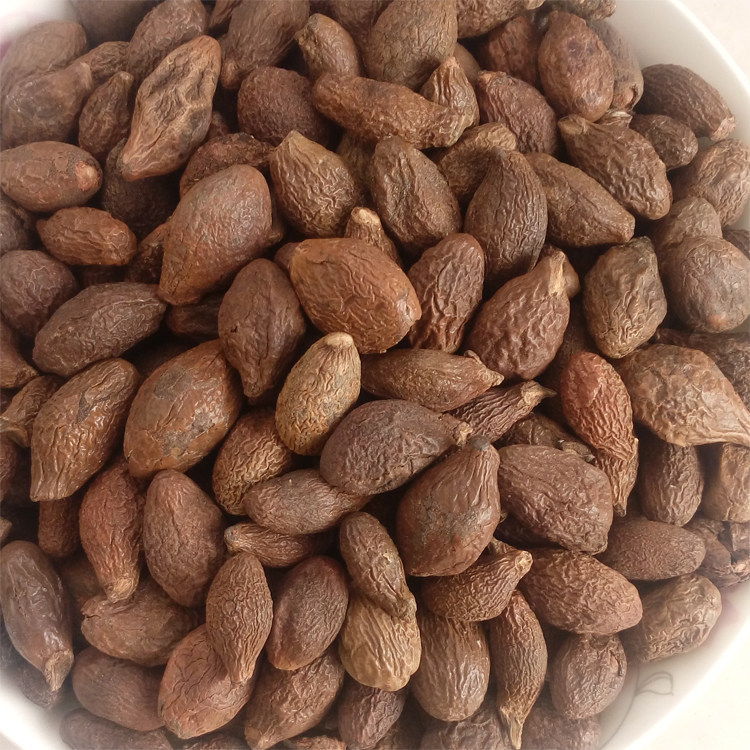 中药材 胖大海 花草茶胖大海  凉茶花草茶胖大海500g 包邮