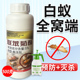 白蚁药全窝端家用装 修预防传染飞蚁杀虫剂除灭白蚁粉防治专用药水