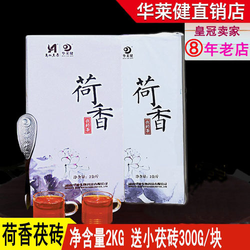 安化黑茶荷香茯砖华莱健荷叶优质