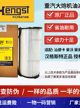 适用重汽汕德卡豪沃油水分离大炮滤芯大柴滤汉格斯特FS20190滤芯