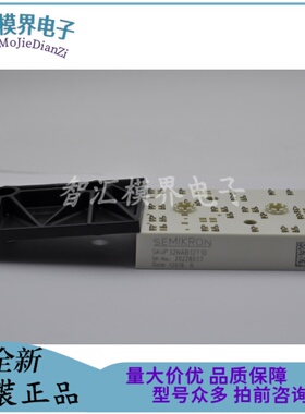 SKIIP32NAB12T10 31NAB125T12 SKIIP31NAB12T10 30NAB12T11