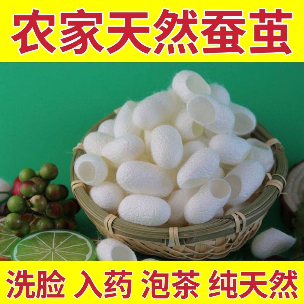 农家天然蚕茧开口蚕茧壳蚕丝茧球削口茧入药抽丝白色蚕茧