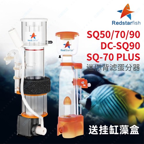 红海星内置蛋白质小型过滤器