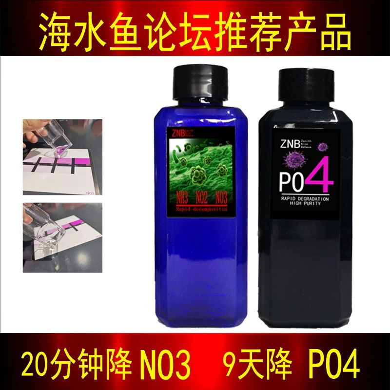 ZNB硝化细菌磷酸盐po4除藻净水