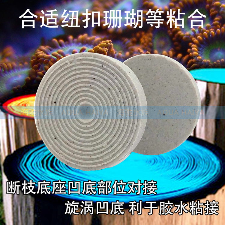 水族纽扣基座断枝T型托盘断肢繁殖陶瓷底座圆六边形sps海水珊瑚架