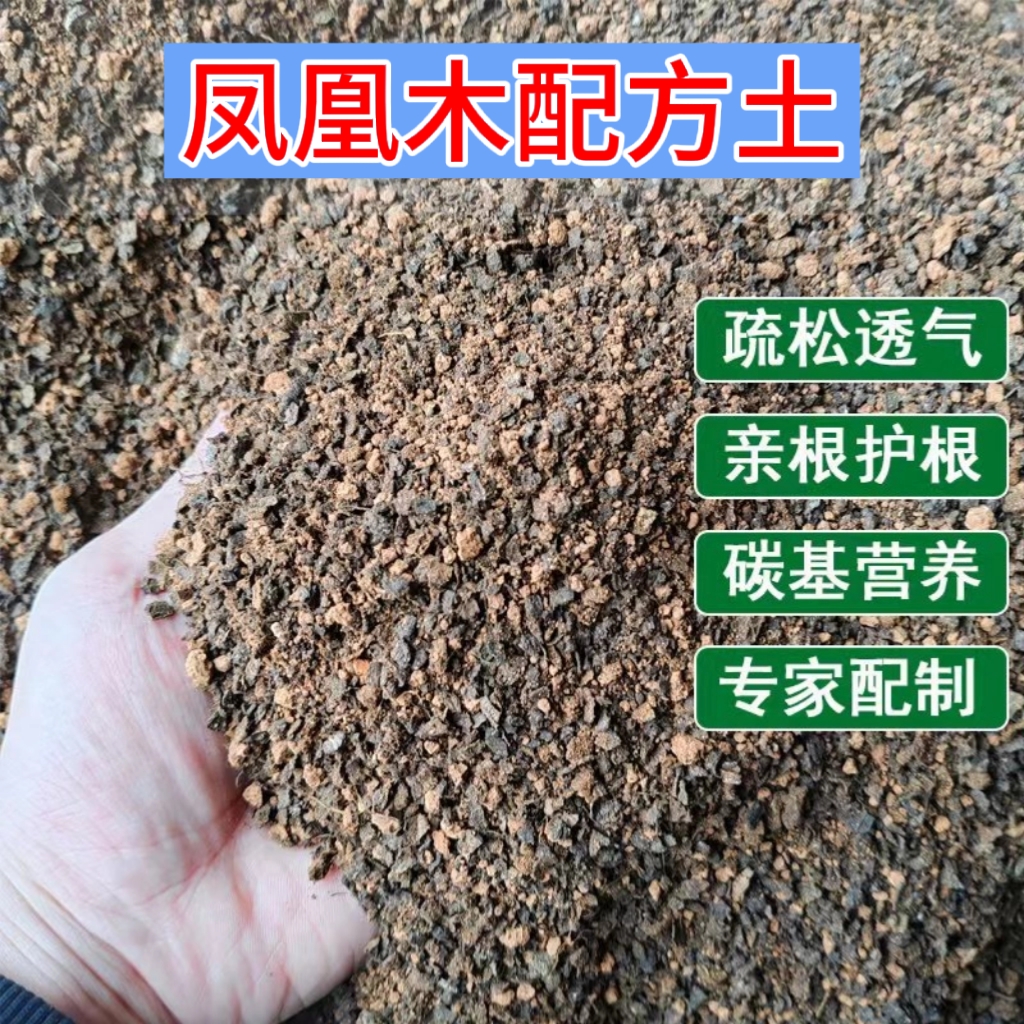 凤凰木专用土疏松透气亲根专用配方土易成活开花多家庭盆栽专用