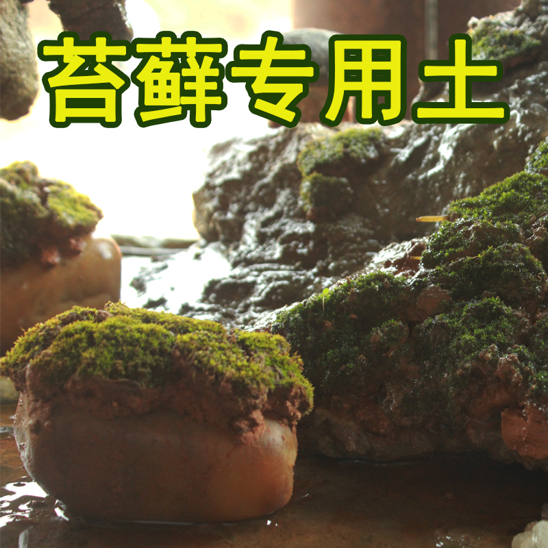 苔藓专用土黏土粘土铺设苔藓土假山铺设植物苔藓土微观景专用粘土