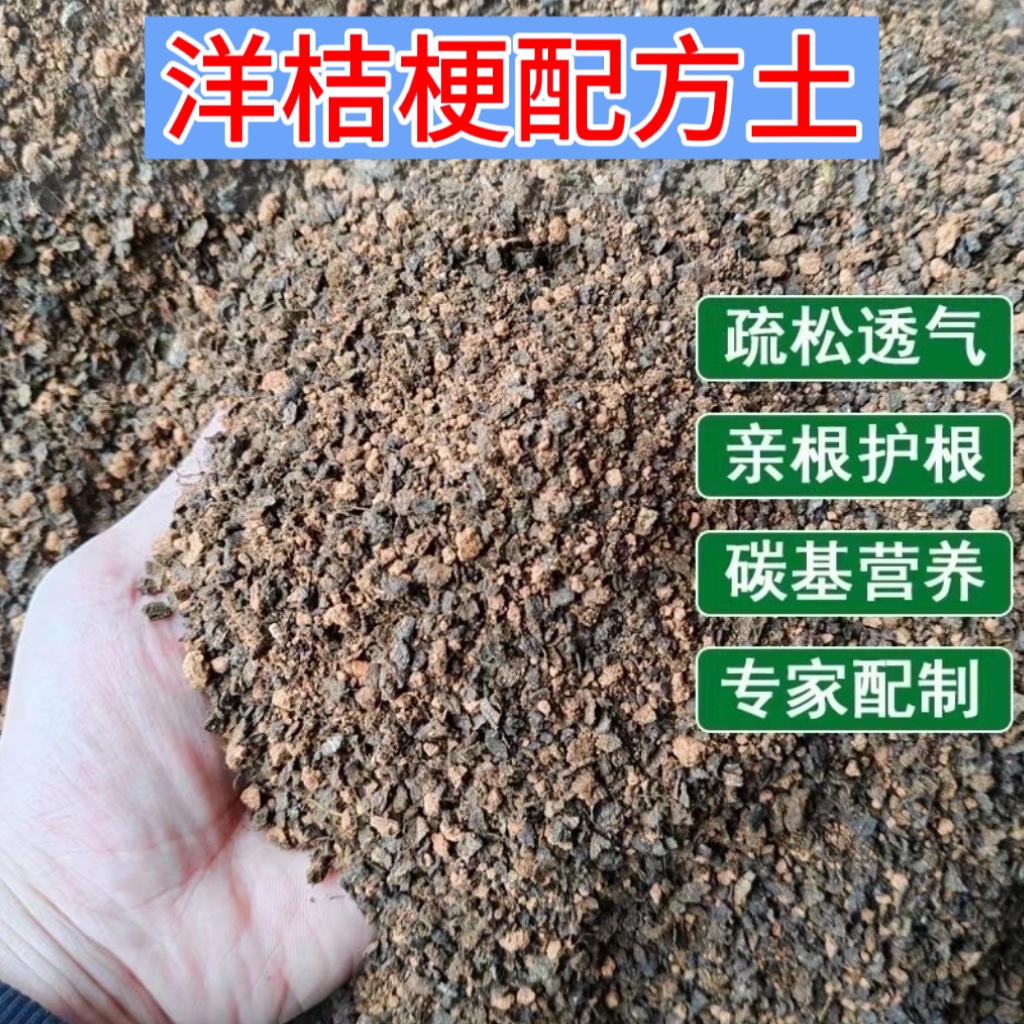 洋桔梗专用土疏松透气亲根专用配方土易成活开花多家庭盆栽专用