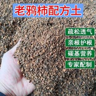 老鸦柿专用土疏松透气亲根专用配方土易成活开花多家庭盆栽专用