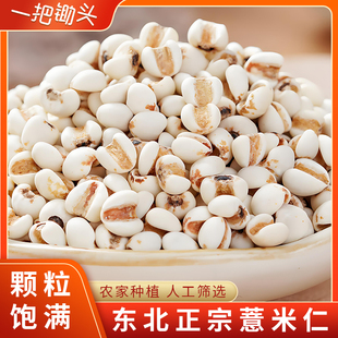东北薏米新货农家自种五谷杂粮家用薏米仁粥红豆薏米祛湿茶原料