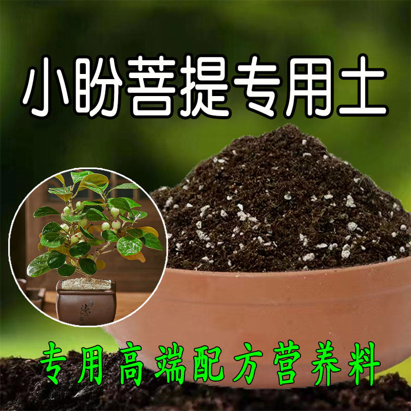 小盼菩提专用土酸性土种花养花土壤盆栽通用营养土花肥有机腐殖土