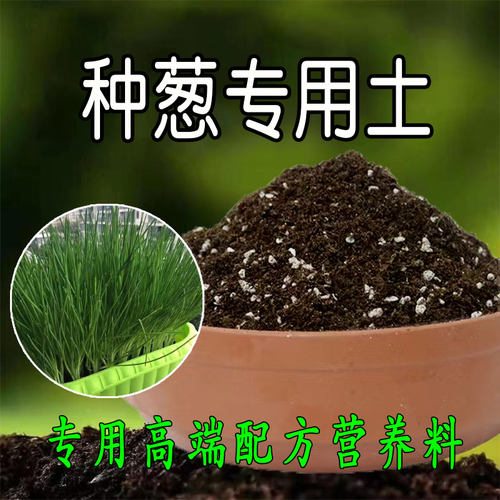 种葱专用土营养土小葱姜蒜蔬菜土种菜土壤肥料养花阳台有机腐殖土