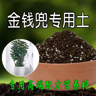 金钱兜专用土福禄桐营养土钱多多盆栽养花种花种植土壤有机腐殖土