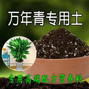 万年青专用土万年青营养土盆栽养花土种花种植土壤通用土有机肥料