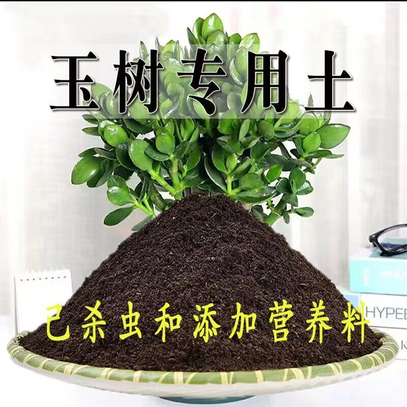 玉树专用土玉树专用营养土盆栽养花种植土壤有机肥料通用种花土培