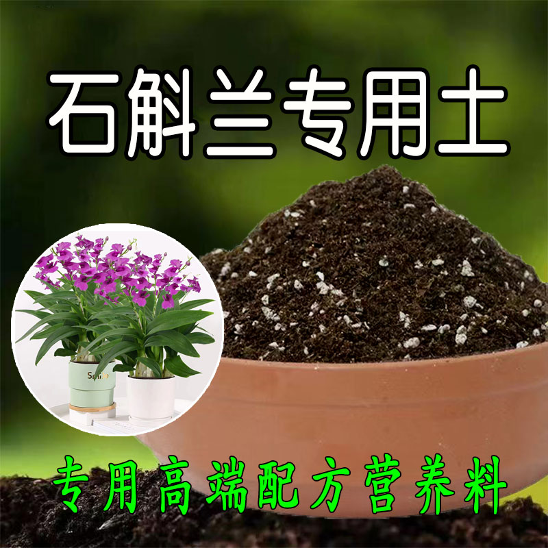 石斛兰专用土兰花腐熟发酵君子兰土蝴蝶兰透气营养土有机土腐殖土