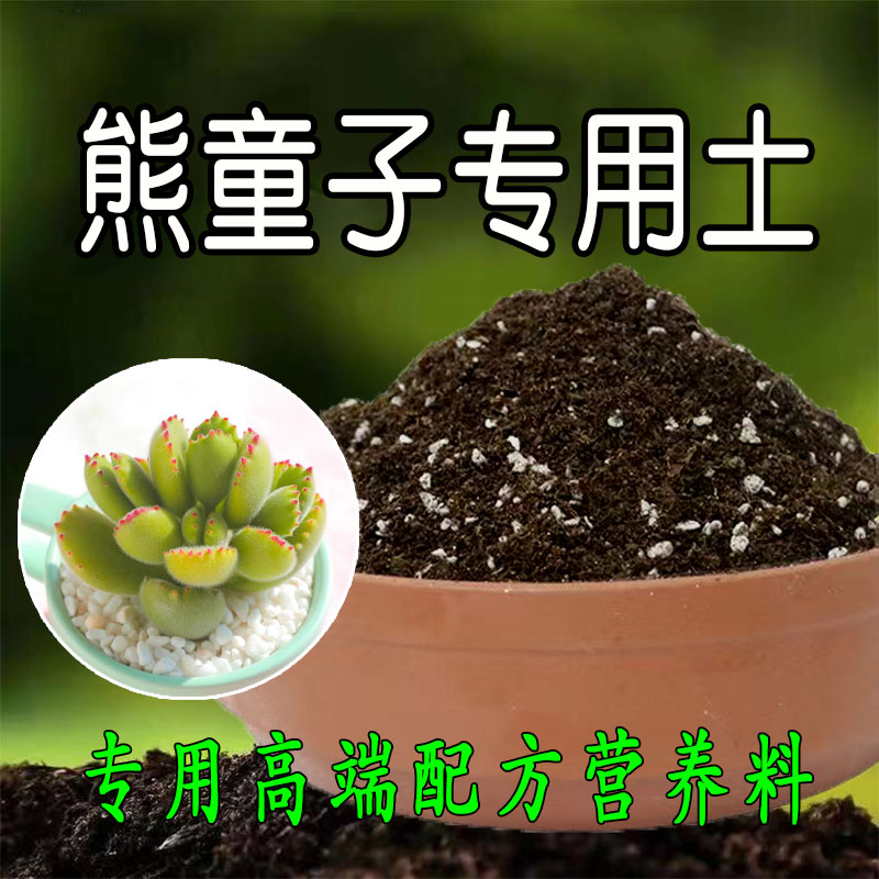 熊童子专用土营养土多肉盆景盆栽酸性土壤绿植种植土有机肥腐殖土