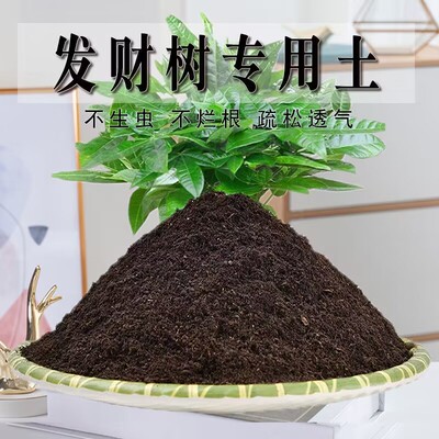 发财树专用土发财树专用营养土盆栽养花种植土壤肥料通用种花土培