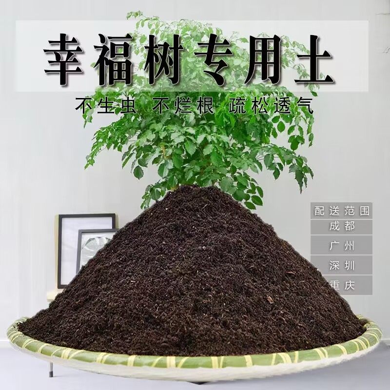 幸福树专用土幸福树专用营养土盆栽养花种植土壤肥料通用种花土培