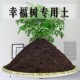 幸福树专用土幸福树专用营养土盆栽养花种植土壤肥料通用种花土培