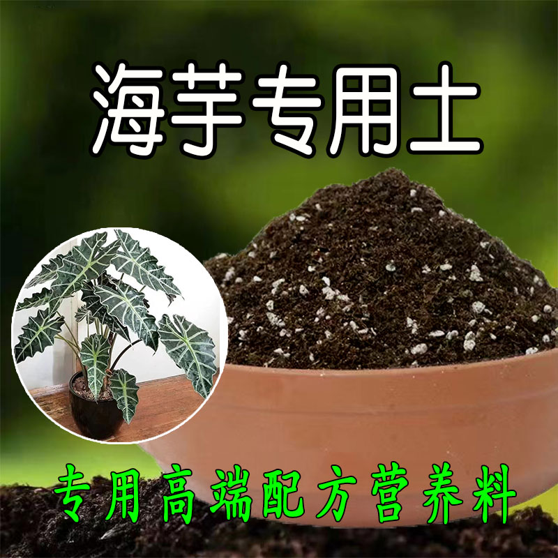 海芋专用土竹芋秋海棠彩叶芋天南星室内绿植专用营养土有机腐殖土